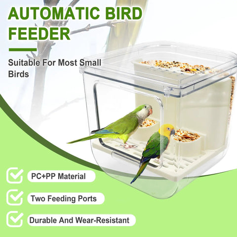 Top Shelf Cage Mounted Bird Feeder Keeping The Mess At Bay With Non Spill Design And Plenty Of Seed Space Featuring A Solid Perch For Your Feathered Friends To Chow Down In Comfort. Two small birds at a transparent automatic feeder with seeds.