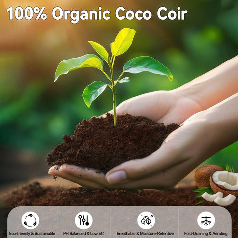 Hands holding a young plant in organic coco coir soil, highlighting 100 Pack 30mm Organic Coco Coir Seed Starter Pellets for Indoor and Outdoor Gardening.