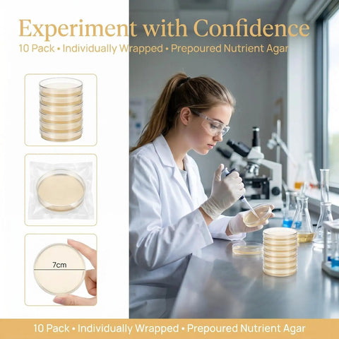 Scientist handling Ready To Use Prepoured Sterile Petri Dishes 70mm with nutrient agar and lids, individually wrapped.