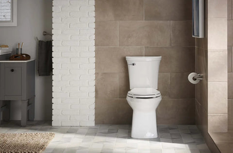 Bathroom with modern toilet and Alteo Pivoting Toilet Paper Holder in Brushed Nickel Finish No Fuss Roll Change Corrosion Resistant Bathroom Hardware