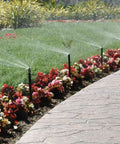 MP Rotator MP2000 360 Degree Sprinkler Nozzle watering garden bed with flowers and grass, showcasing even spray coverage