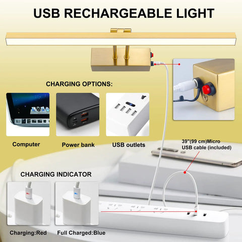 Rechargeable Picture Light With Remote And Timer For Wall Photo Frames showing charging options and USB indicators