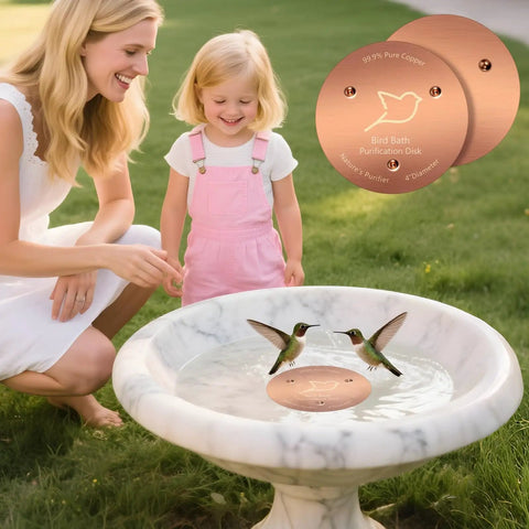 2 Pack Copper Bird Bath Disks With Triple Point Support installed in outdoor marble bird bath used by hummingbirds
