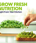 Ceramic Microgreens Growing Kit For Kitchen Garden With 3 Crop Seed Mix, planter, bamboo tray, microgreens on toast