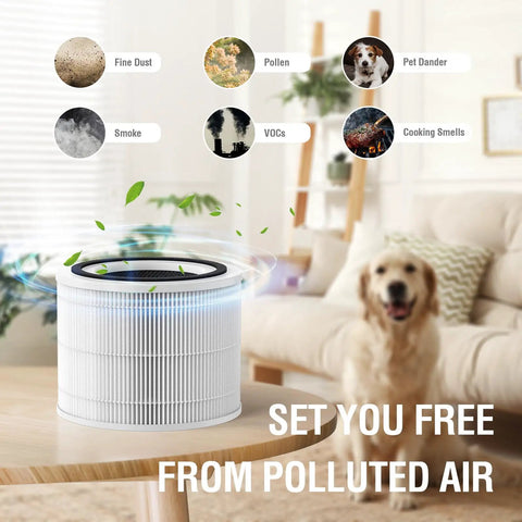 Illustration of 2 Pack 240 Replacement Filter Compatible With 240 Air Purifier in a living room filtering pollutants and allergens.