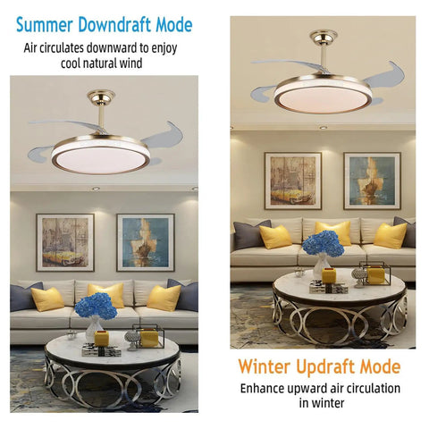 Semokia Ceiling Fan Light with Remote Gold Fan for Bedroom Living Room in summer and winter modes, showcasing air circulation features.