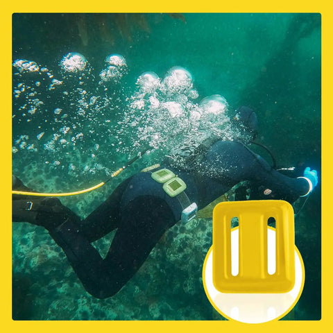 Dive gear with four 2.2 lb rubber-coated dive weights on nylon belt underwater for freediving, spearfishing, and scuba, fits 32-52 inch waists.