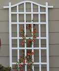 Vinyl Garden Trellis For Outdoor Climbing Plants 35 By 75 White Wall Mount With Steel Ground Anchors PVC Grid Plant Support