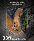 Color night vision example for No Wires Battery Powered Wireless Outdoor Security Camera with dog in yard.