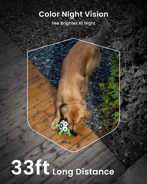 Color night vision example for No Wires Battery Powered Wireless Outdoor Security Camera with dog in yard.