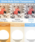 Image comparing globe bulb color temperatures showing Vanity Light Bulbs 5000K Daylight G25 LED Globe 8 Pack in use