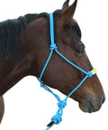 Horse wearing Lightweight Horse Rope Training Halter With Continuous Rope Reins No Breakable Hardware For Easy Use And Safe Handling, Blue