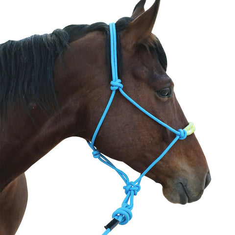 Horse wearing Lightweight Horse Rope Training Halter With Continuous Rope Reins No Breakable Hardware For Easy Use And Safe Handling, Blue