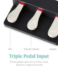 Close-up of three pedals on 88 Key Weighted Hammer Action Digital Piano Set With U Stand, 3 Pedal Unit, Stool, Keyboard Cover And Dual Headphone Jacks Perfect For Beginners To Pros And All Skill Levels, labeled soft, selective sustain, and sustain.