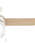 Acumen 42 Inch Indoor Ceiling Fan With Reversible Motor Fresh White Finish Two Position Mounting near view of blade and light