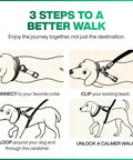 Front Clip No Pull Dog Leash Attachment With Torso Loop, Chest Loop Design Redirects Forward Momentum For Calm, Safer Walks, Reduces Pulling And Lunging Without Neck Pressure, Everyday Training Accessory For Dog Owners setup steps infographic