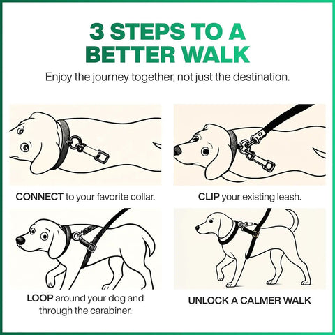 Front Clip No Pull Dog Leash Attachment With Torso Loop, Chest Loop Design Redirects Forward Momentum For Calm, Safer Walks, Reduces Pulling And Lunging Without Neck Pressure, Everyday Training Accessory For Dog Owners setup steps infographic