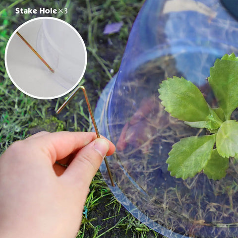 Six Pack Garden Cloche Domes 7.3 Inch Diameter