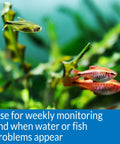 Freshwater Aquarium Test Kit Has 800 Tests For Ph Ammonia Nitrite And Nitrate To Maintain Safe Crystal Clear Water Protecting Fish From Harmful Spikes While Tracking Tank Stats On Point For Your Aquatic Squad Ensuring Legit Results Daily with colorful fish swimming among plants.