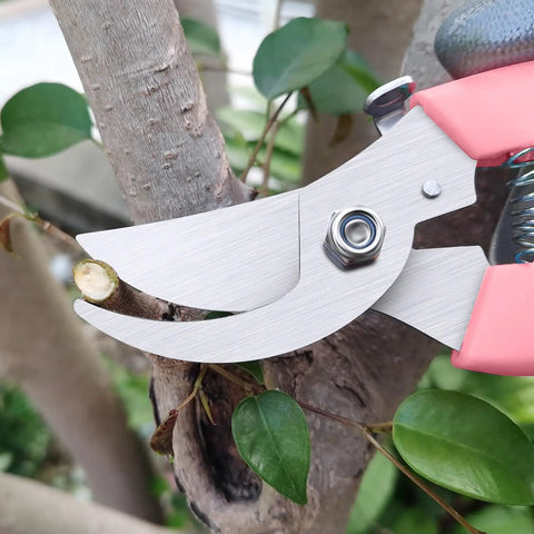 Ultra Sharp Stainless Steel Flower Scissors With Ergonomic Non Slip Handle For Easy Garden Pruning Lightweight Pro Grade Shears 1 Inch Cut Capacity Rust Resistant For Bonsai And Plants Pink in action cutting branch close-up