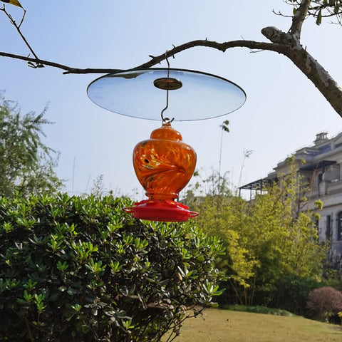 Large 13 Inch Glass Rain Cover For Outdoor Bird Feeder, Two Way Hanging Or Shepherd Pole Mount, Weatherproof Clear Dome Shield