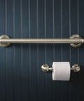 Banbury Pivoting Toilet Paper Holder in Brushed Nickel mounted on dark wall, zinc construction with spring free design, durable bathroom accessory.