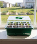 5 Pack Seed Starter Trays With Adjustable Humidity Dome And Base Indoor Greenhouse Mini Propagator, 12 Cells Per Tray