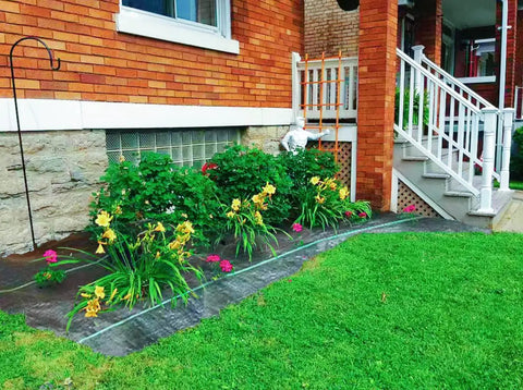 Garden bed with 17 Inch Wide By 50 Feet Long Heavy Duty Landscape Fabric Weed Barrier Woven Geotextile Ground Cover For Under Gravel.