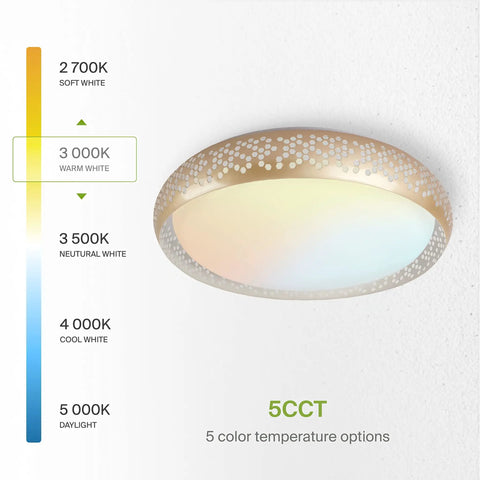 20 Inch LED Flush Mount Ceiling Light Fixture In Modern Gold Finish Slick Close To Ceiling Low Profile Dimmable 42W with Color Temperature Chart