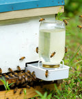 Beekeeping Water Dispenser Lids For Mason Jars, Four Pack Metal Entrance Feeders with bees at water station