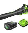 80V Brushless Cordless Leaf Blower with 770 CFM and 180 MPH wind, includes battery and charger, black and green design
