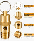 Quarter Inch NPT 200 PSI Brass Air Compressor Pressure Relief Valve Safety Check Valve Vent For Air Systems detail view