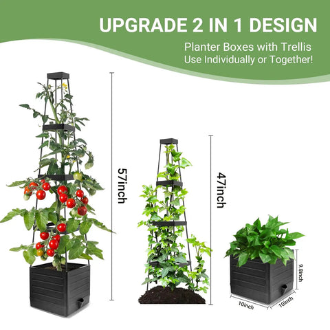Two Pack Tomato Planter With Trellis 57 Inch Self Watering Raised Garden Bed for climbing veggies and tomatoes setup