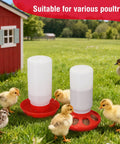 Automatic Chick Feeder And Waterer Set No Waste Brooder Kit For Baby Chicks Ducks And Quail Includes One Liter Drink Dispenser And One Kilo Feed Hopper with chicks and ducks in a backyard.