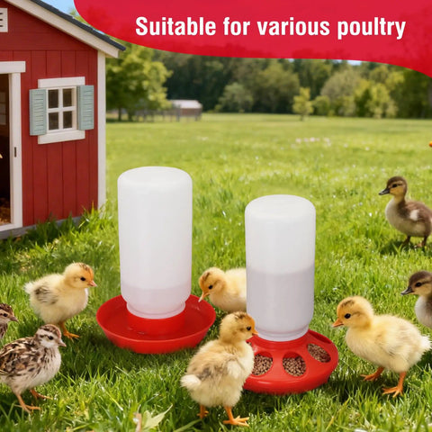 Automatic Chick Feeder And Waterer Set No Waste Brooder Kit For Baby Chicks Ducks And Quail Includes One Liter Drink Dispenser And One Kilo Feed Hopper with chicks and ducks in a backyard.