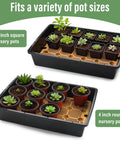 5 Pack Nursery Pots Trays With Removable Mesh Drainage Mats Durable BPA Free Plastic Seed Starter Trays 17 By 12 By 3.5 Inches With Drainage Holes Propagation Kit For Seedlings Microgreens Plant Germination Black showing 3.5 inch square and 4 inch round pots on trays