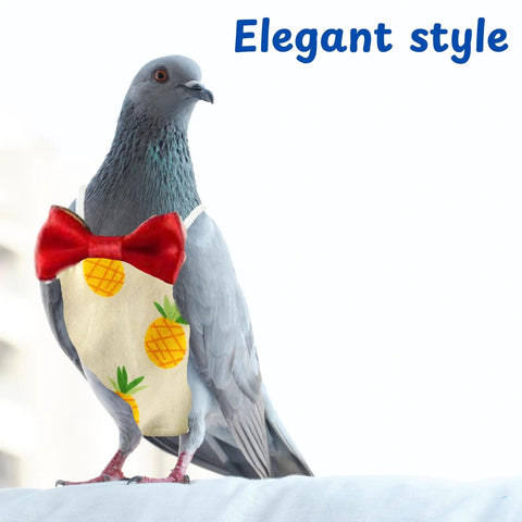 Pigeon in XL pineapple patterned Pigeon Diaper Pants Harness And Leash For Birds No Fuss Adjustable Harness, elegant style shown
