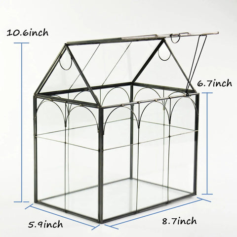 Large Tall Glass Terrarium With Lid For Indoor Plants Dope Desktop Greenhouse Enclosure For Orchids Succulents And Cacti Tall Tabletop Display In Black Frame 8.7 By 5.9 By 10.6 Inches Easy Lift Lid