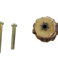 Back view of Rustic Antler Drawer Knobs 12 Pack For Cabin Lodge Decor With Screws Deer Antler Cabinet Pulls For Dresser Kitchen