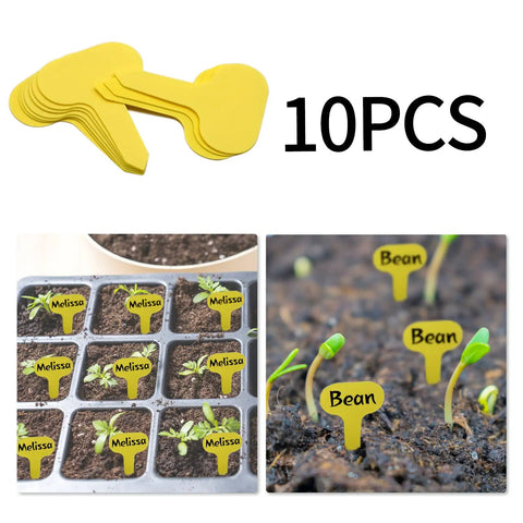 Yellow plant label markers in soil with 'Melissa' and 'Bean' text, set of 10 pieces shown with seedlings in trays.