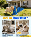 Dog Agility Cone Set With 12 Inch Hurdle Cones, Backyard Obstacle Course Kit; dog jumping through blue cones on grass.