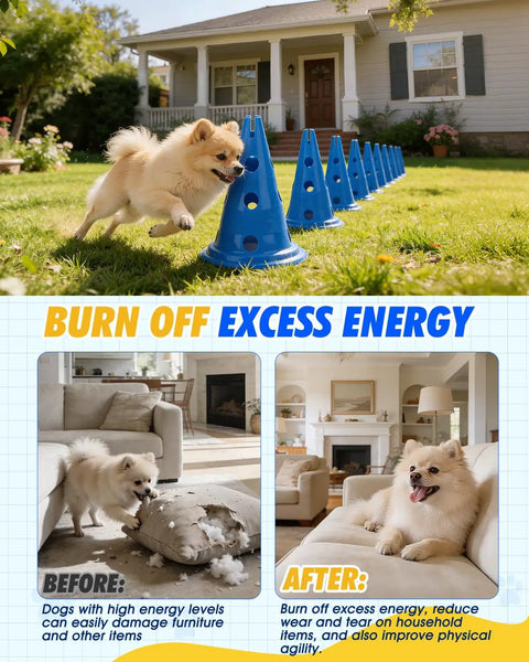 Dog Agility Cone Set With 12 Inch Hurdle Cones, Backyard Obstacle Course Kit; dog jumping through blue cones on grass.