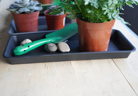 Six Pack Rectangular Plant Tray Saucers For Indoors Heavy Duty Drainage Drip Trays with pots and gardening tools on a windowsill.