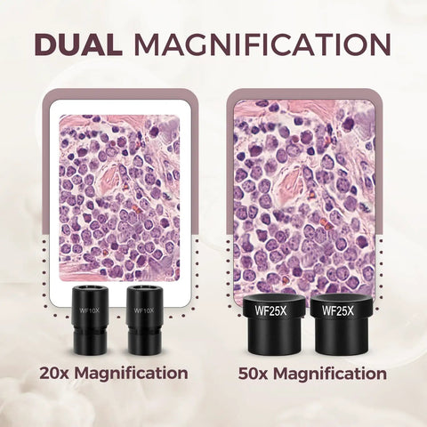 Dual LED Kids Microscope Science Kit With 52 Plus Pieces Including Mineral And Insect Specimens Prepared Slides And DIY Blank Slides Totally Great For Curious 8 To 12 Year Old Scientists, 20x and 50x lenses