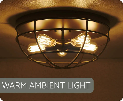 Industrial Farmhouse 18 Inch Five Light Cage Flush Mount Ceiling Light with oil rubbed bronze and antique brass sockets.
