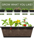 Diagram of plants growing in a garden bed showing herbs, vegetables, flowers, fruits, and succulents above a soil cross-section.