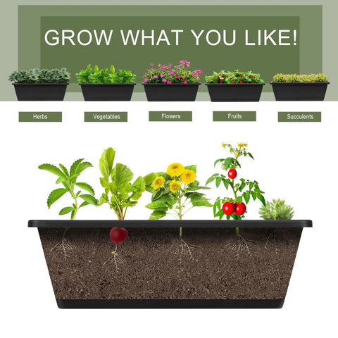 Diagram of plants growing in a garden bed showing herbs, vegetables, flowers, fruits, and succulents above a soil cross-section.