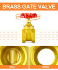 2-inch brass industrial gate valve with red wheel handle; female-to-female threads for water, oil, or gas.