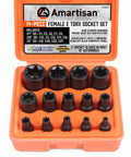 14 Piece Female E Torx Socket Set For One Quarter Inch, Three Eighths Inch, And One Half Inch Drives With External Torque, Heavy Duty Chrome Vanadium Steel Phosphated Finish, Easy Read Size Markings in orange case