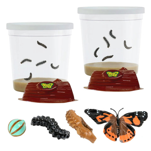 Two Cups Of Live Painted Lady Caterpillars Refill Kit With 10 Caterpillars And Food Plus Bonus Butterfly Life Cycle Figurines